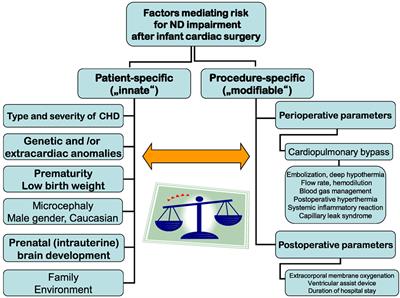 Factors Influencing Neurodevelopment after Cardiac Surgery during Infancy